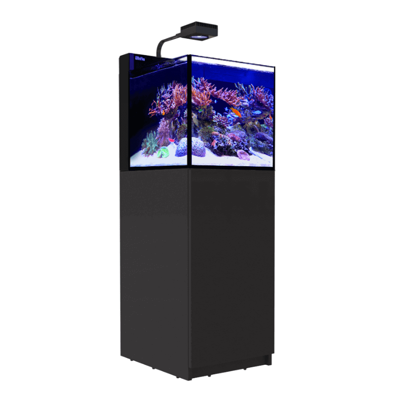 Red Sea Max Nano Cube Peninsula Complete Aquarium (26 Gallons) - angled view black