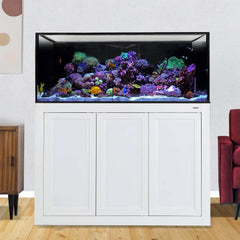 NUVO INT 100 Gallon Aquarium with APS Stand Including Complete Reef System (White/Black) - Innovative Marine