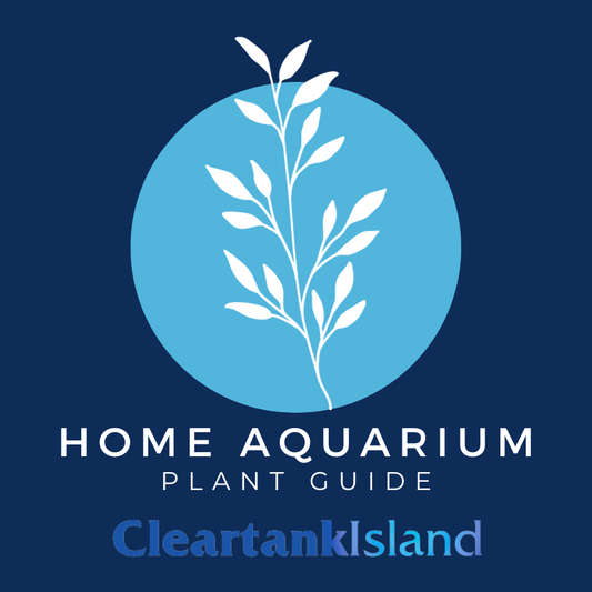 Beginner Aquascaping: "A Guide to Aquarium Plants in Home Aquariums"