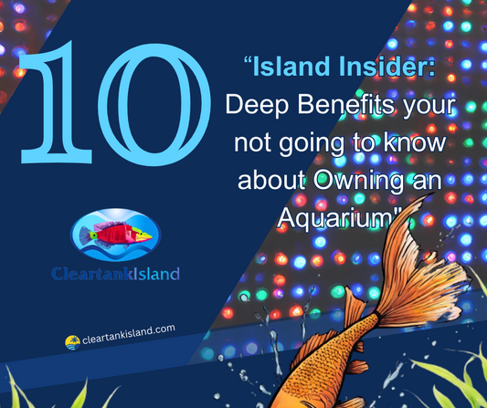 “Island Insider: 10 Deep Benefits your not going to know about Owning an Aquarium"