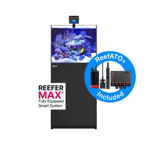 Red Sea REEFER XL 200L G2+ Complete/Deluxe/MAX Reef Aquarium (50 Gallons) (Black/Pearl White)