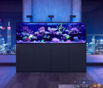 Red Sea REEFER Peninsula 350L G2+ Reef Aquarium (95 Gallons) (Black/Pearl White)