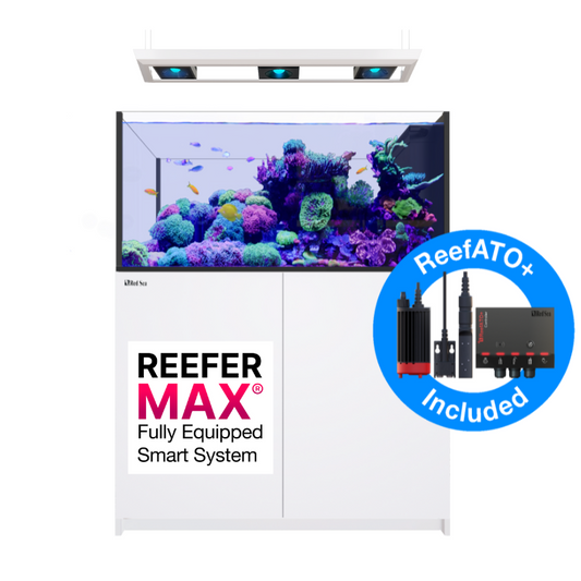 Red Sea REEFER Peninsula 500L G2+ (135 Gallons) (Black/Pearl White)