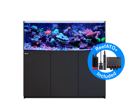 Red Sea REEFER XL 525L G2+ Complete/Deluxe/MAX Reef Aquarium (140 Gallons) (Black/Pearl White)
