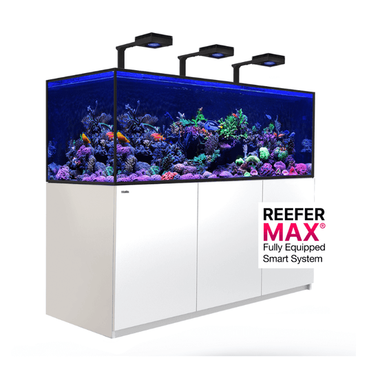 Red Sea REEFER-S 850L G2+ Complete/Deluxe/MAX Reef Aquarium (225 Gallons) (Black/Pearl White)
