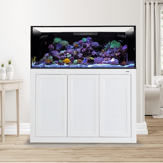 NUVO EXT 100 Aquarium with APS Stand Including Complete Reef System (White/Black) - Innovative Marine