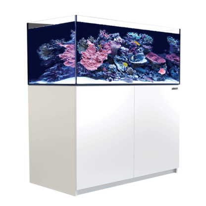 Red Sea REEFER XL 425L G2+ Complete/Deluxe/MAX Reef Aquarium (112 Gallons) (Black/Pearl White)