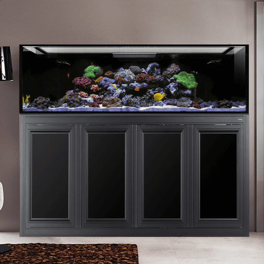 NUVO EXT 240 Gallon Aquarium w/ APS Stand Included (Reef Option) (White/Black) (Made to Order) - Innovative Marine