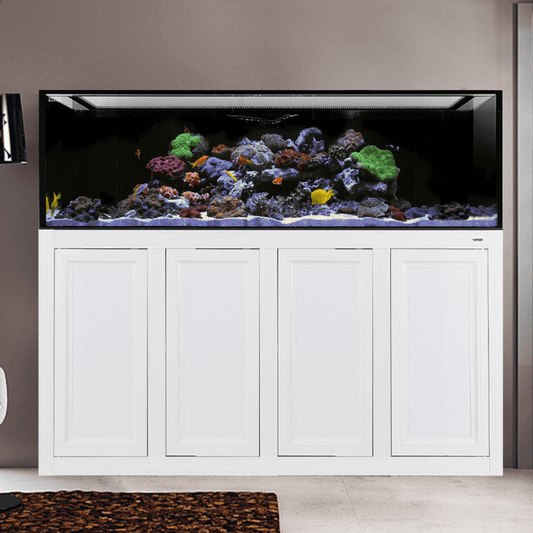 NUVO INT 240 Lagoon Aquarium with APS Stand Included (Reef Option) (Made to Order) (White/Black) - Innovative Marine