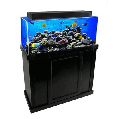 Rectangle Acrylic Freshwater/Saltwater Aquarium (40-60 Gallons) - Clear for Life