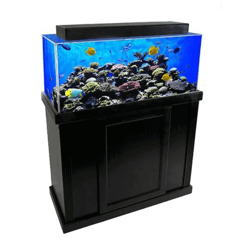 Rectangle Acrylic Freshwater/Saltwater Aquarium (300 Gallon) Clear for Life