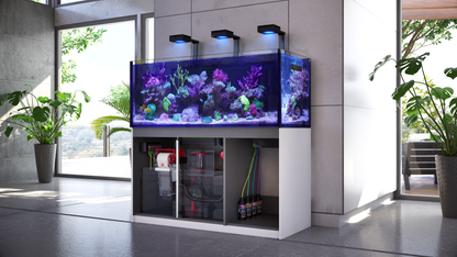 Red Sea REEFER XXL 750L G2+ Complete/Deluxe/MAX Reef Aquarium (200 Gallons) (Pearl White/Black)