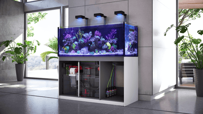 Red Sea REEFER XL 350L G2+ Complete/Deluxe/MAX Reef Aquarium (90 Gallons) (Black/Pearl White)