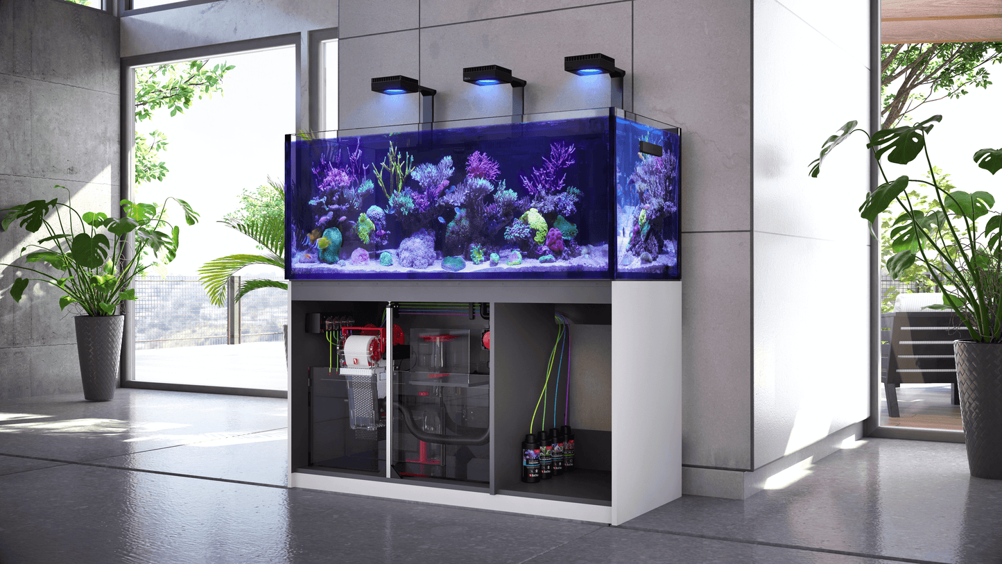 Red Sea REEFER-S 700L G2+ Complete/Deluxe/MAX Reef Aquarium (185 Gallons) (Black/Pearl White)