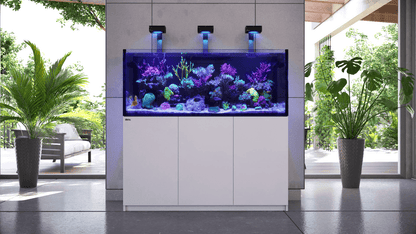 Red Sea REEFER XL 200L G2+ Complete/Deluxe/MAX Reef Aquarium (50 Gallons) (Black/Pearl White)