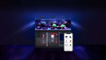 Red Sea REEFER XXXL 900L G2+ Complete/Deluxe/MAX Reef Aquarium (235 Gallons) (Black/Pearl White)