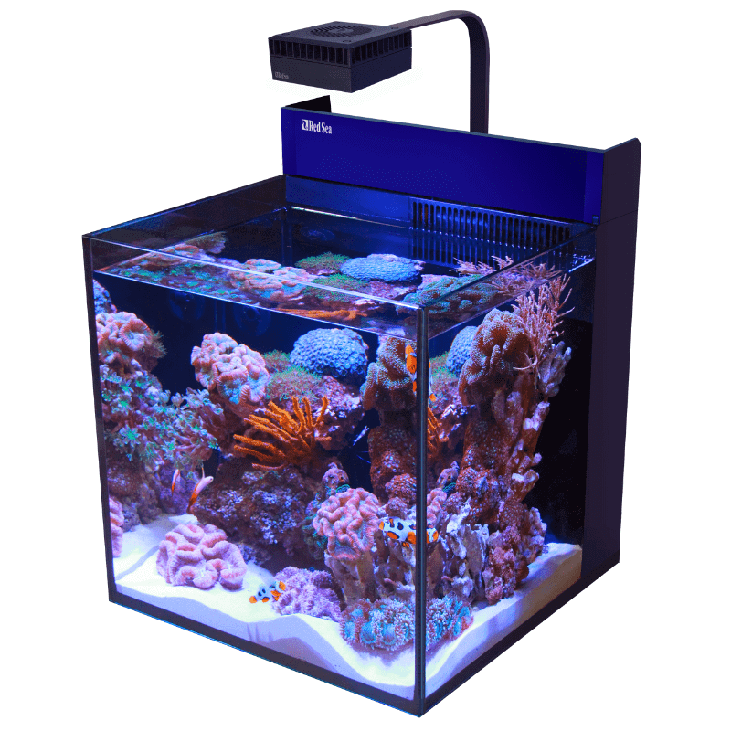 Red Sea Max Nano Cube Complete Aquarium (20 Gallons) - model