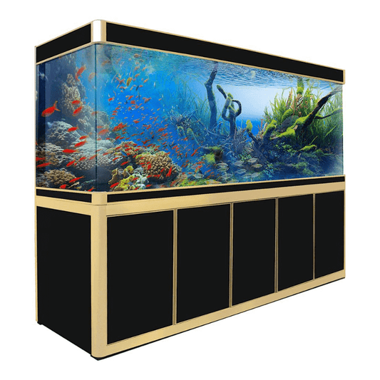 Aqua Dream 400 Gallon Tempered Glass Aquarium (Black and Gold) - front view