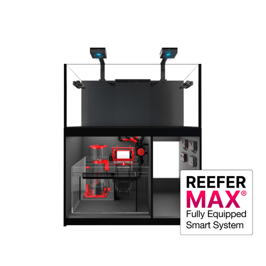 Red Sea REEFER XL 425L G2+ Complete/Deluxe/MAX Reef System Options (112 Gallons) (Black/Pearl White)