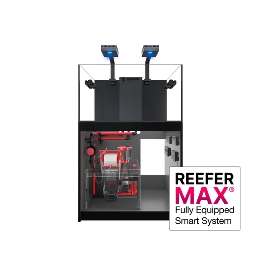 Red Sea REEFER XL 250L G2+ Complete/Deluxe/MAX Reef System (65 Gallon) (Black/Pearl White)