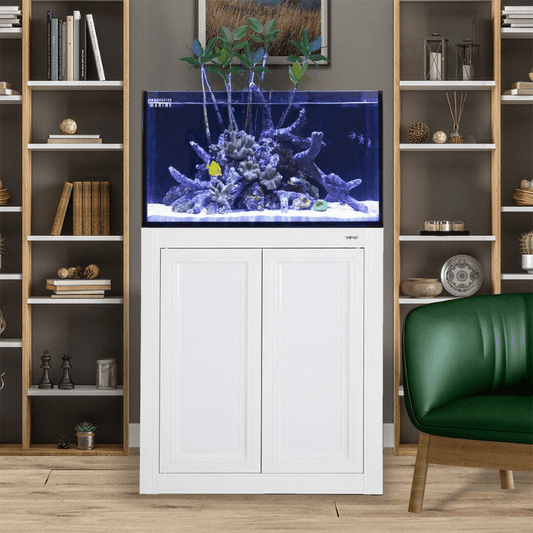 NUVO INT 50 Lagoon Aquarium with APS Stand Including Complete Reef System (White/Black) - Innovative Marine