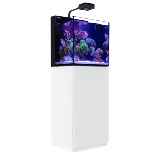 Red Sea Max Nano Cube Complete Aquarium (20 Gallons) - angled view white