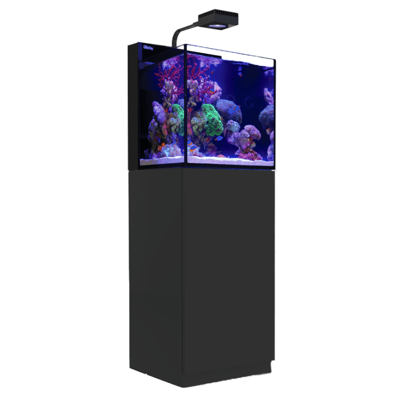 Red Sea Max Nano Cube Complete Aquarium (20 Gallons) - angled view black