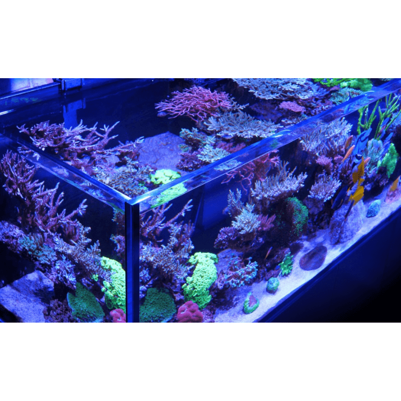 Red Sea REEFER Peninsula 350L G2+ Reef Aquarium (95 Gallons) (Black/Pearl White)