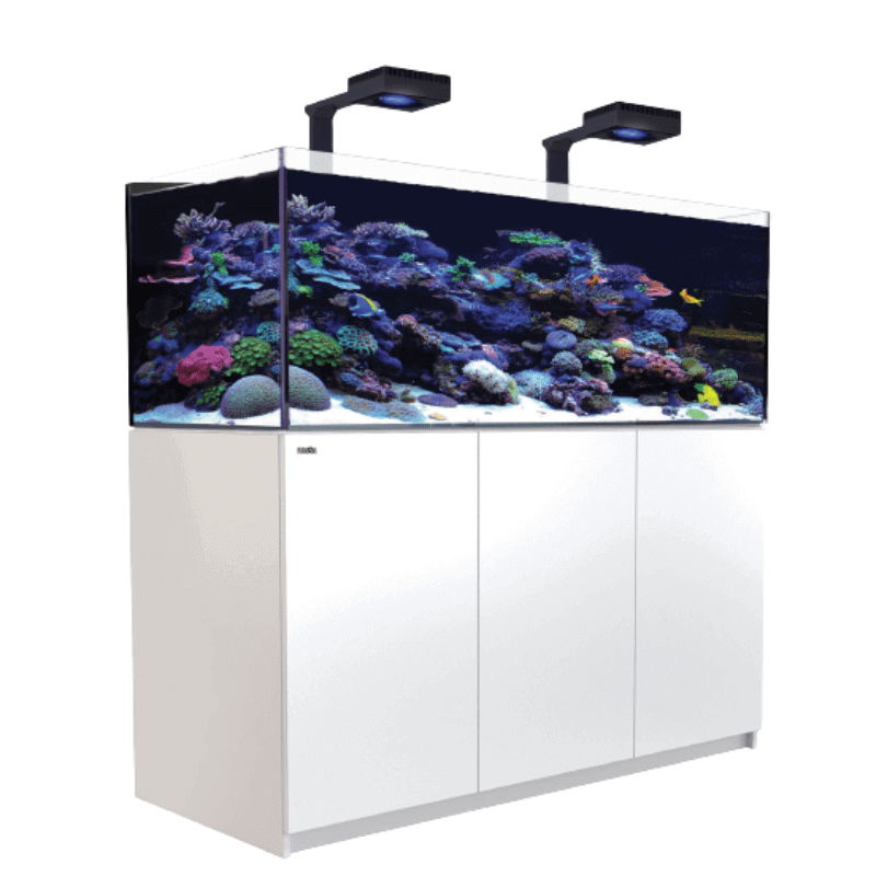 Red Sea - REEFER XL 525L G2+ Complete Reef (140 Gallon) (White/Black) - angled view white 