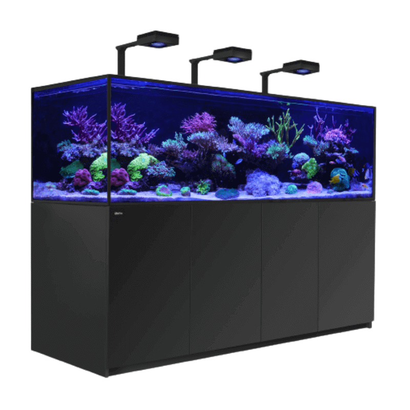 Red Sea - Reefer-S 1000L Complete System (265 Gallon) (Pearl White/Black) - angled view black 2