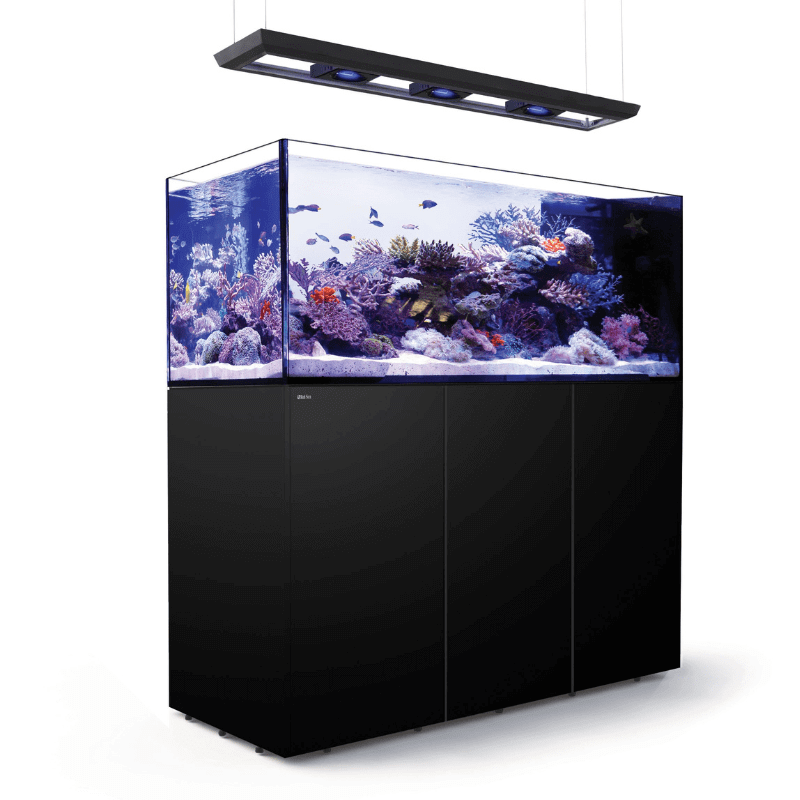 Red Sea REEFER Peninsula 650L (175 Gallons) (Pearl White/Black) - angled view black
