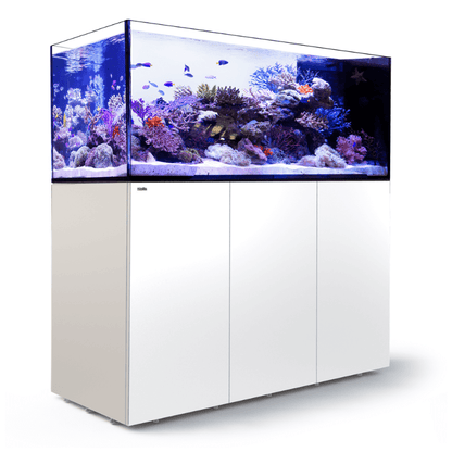 Red Sea REEFER Peninsula 650L (175 Gallons) (Pearl White/Black) - angled view white