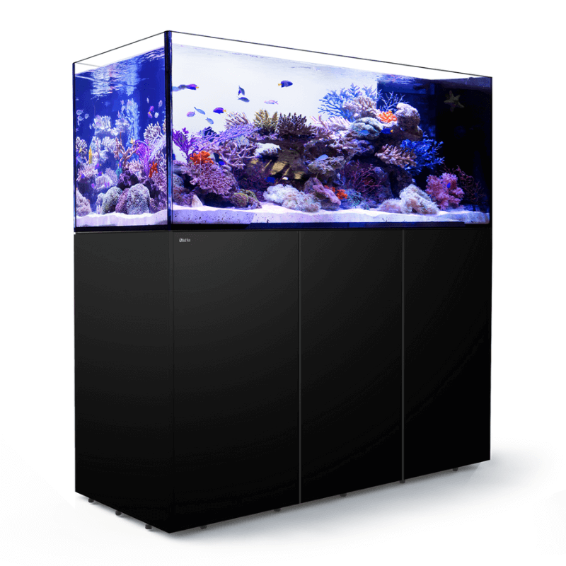Red Sea REEFER Peninsula 650L (175 Gallons) (Pearl White/Black) - angled view black
