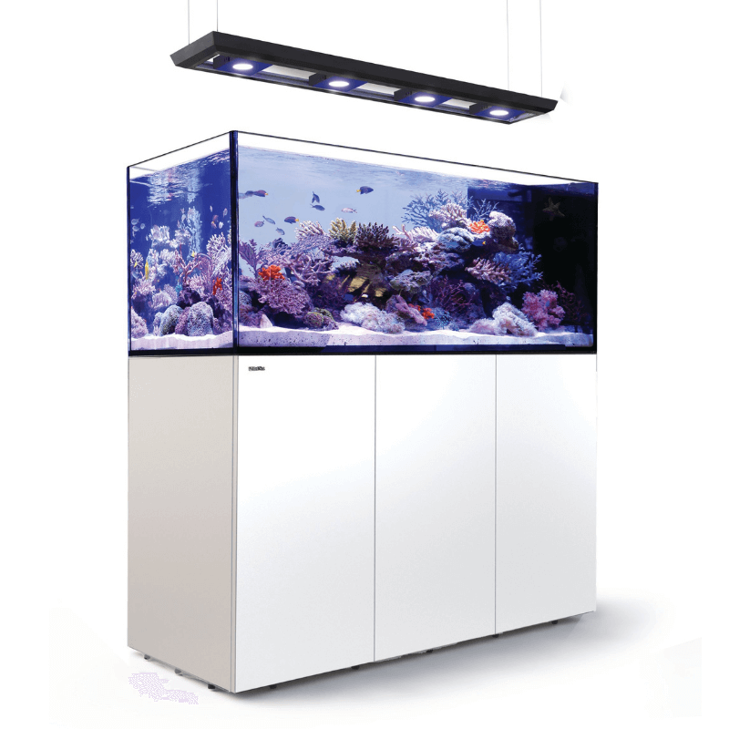 Red Sea REEFER Peninsula 650L (175 Gallons) (Pearl White/Black) - angled vied white 2