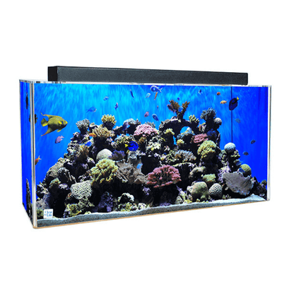 Rectangle AIO UniQuarium Acrylic Freshwater/Saltwater Aquarium (60-90 Gallon) - Clear for Life