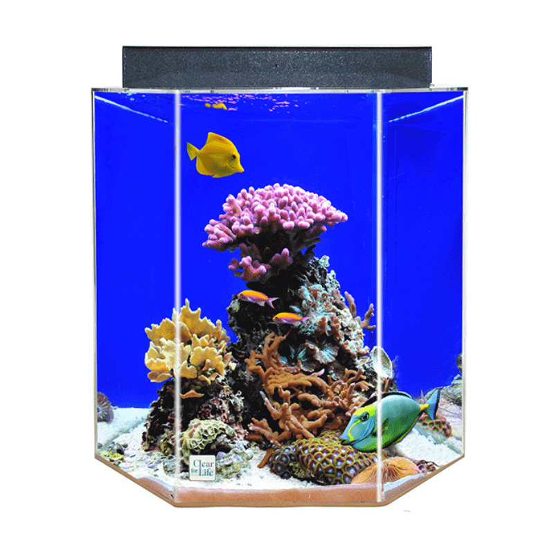 Hexagon AIO UniQuarium Acrylic Freshwater/Saltwater Aquarium (55-95 Gallon) Clear for Life