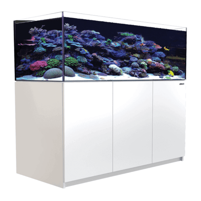 Red Sea - REEFER XL 525L G2+ Complete Reef (140 Gallon) (White/Black) - angled view white