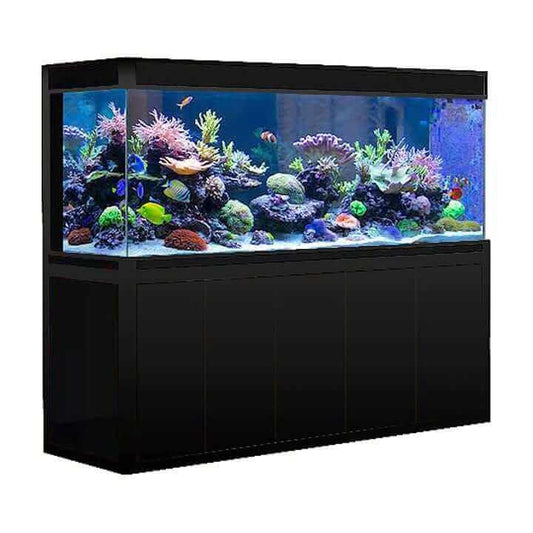 Aqua Dream 400 Gallon Tempered Glass Aquarium (Black) - front view