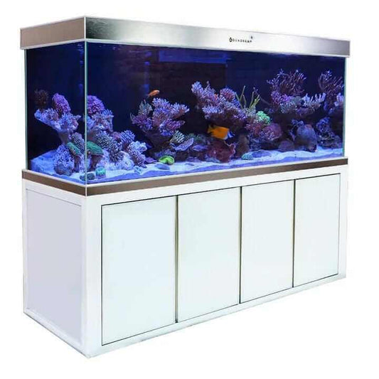 Aqua Dream 260 Gallon Aquarium (White and Silver) - front view