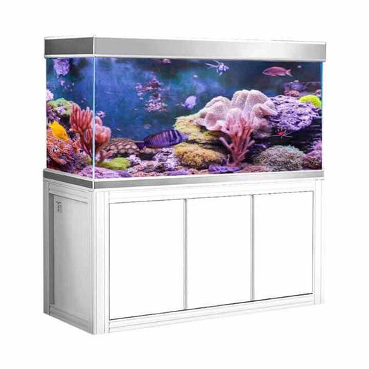 Aqua Dream 145 Gallon Tempered Glass Aquarium (White and Silver) - front view