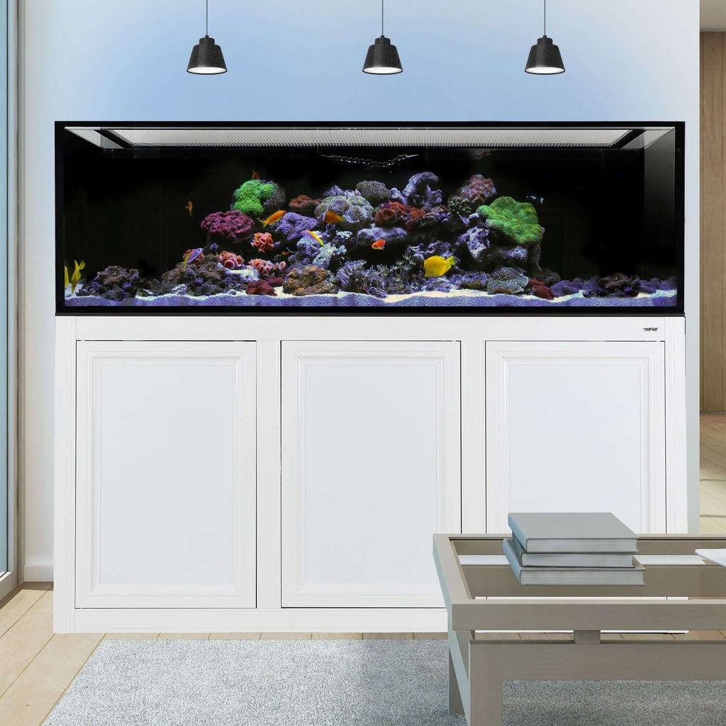 NUVO INT 200 Lagoon Aquarium with APS Stand Included (Reef Option) (Made to Order) (White/Black) - Innovative Marine