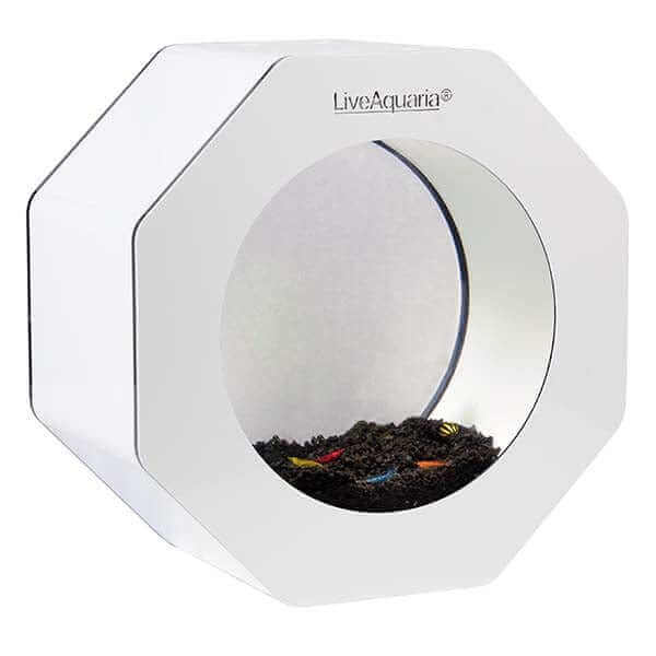 LiveAquaria® Beginner Shrimp Aquarium Kit Octi (White/Black)