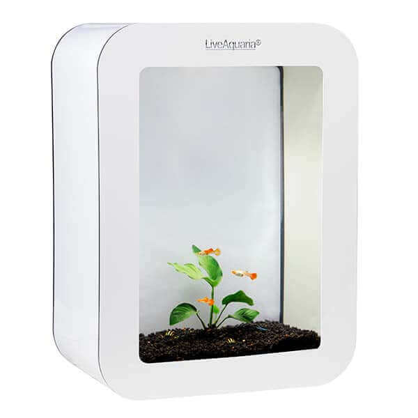 LiveAquaria® Beginner Guppy Aquarium Kit Cubi (White)