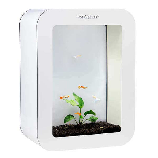 LiveAquaria® Premium Guppy Aquarium Kit Cubi (White)