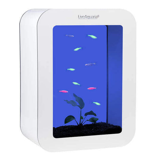 LiveAquaria® GloFish Danio Aquarium Kit Cubi (White)
