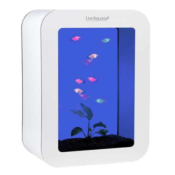 LiveAquaria® GloFish Tetra Aquarium Kit Cubi (White)