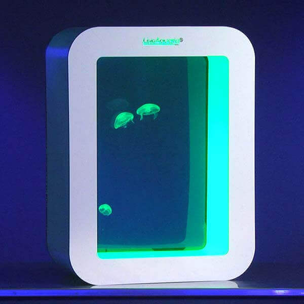 LiveAquaria® J Series Jellyfish Aquarium Kit JS15 Cubi (White)