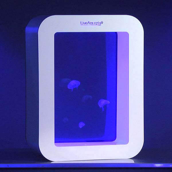 LiveAquaria® J Series Jellyfish Aquarium Kit JS15 Cubi (White)